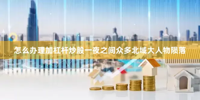 怎么办理加杠杆炒股一夜之间众多北域大人物陨落