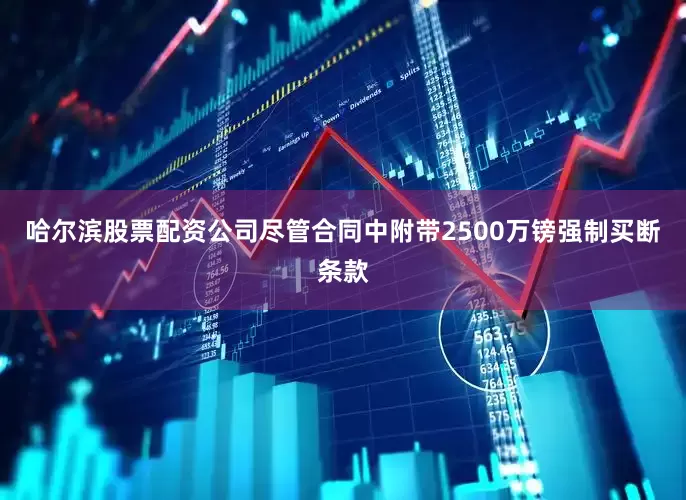 哈尔滨股票配资公司尽管合同中附带2500万镑强制买断条款
