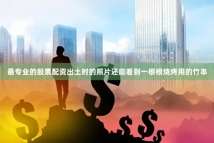 最专业的股票配资出土时的照片还能看到一根根烧烤用的竹串