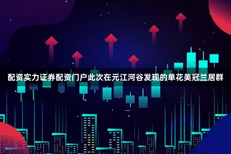 配资实力证券配资门户此次在元江河谷发现的单花美冠兰居群